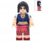 Robin Minifigure Semut Toys Minifigure Collection