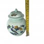 Adams Calyx Ware Sugar Bowl w/ Lid  Blue Fine Porcelain Bird England 5"H 4"W