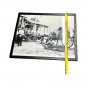 Rare Vtg Ephemera B&W 1880s Orlando FL Gator Cracker Team Photo Print Poster