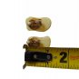 Rare Antique African Tribal Earrings Beige Bakelite Clip On Back Vintage Jewelry