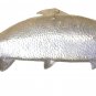 Antique Fish Plater Metal Nautical Art Artist Marine Signed Wall Hanging