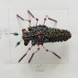 Renaissance Assemblage Brooch Pin Makech Beetle Insect Designer Boho Artwork