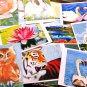 Art print postcards artworks paintings greeting cards postcrossing