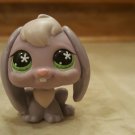 LPS Littlest Pet Shop #648 Purple Bunny Rabbit Lop Ears White Green Flower Eyes