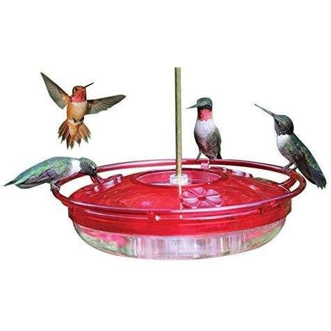 Cole's HH03 Hummer High Rise Hummingbird Feeder