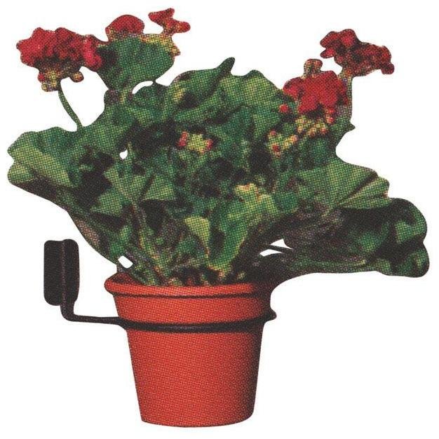 Panacea  Black  Wrought Iron  3 in. H Round  Plant Hook