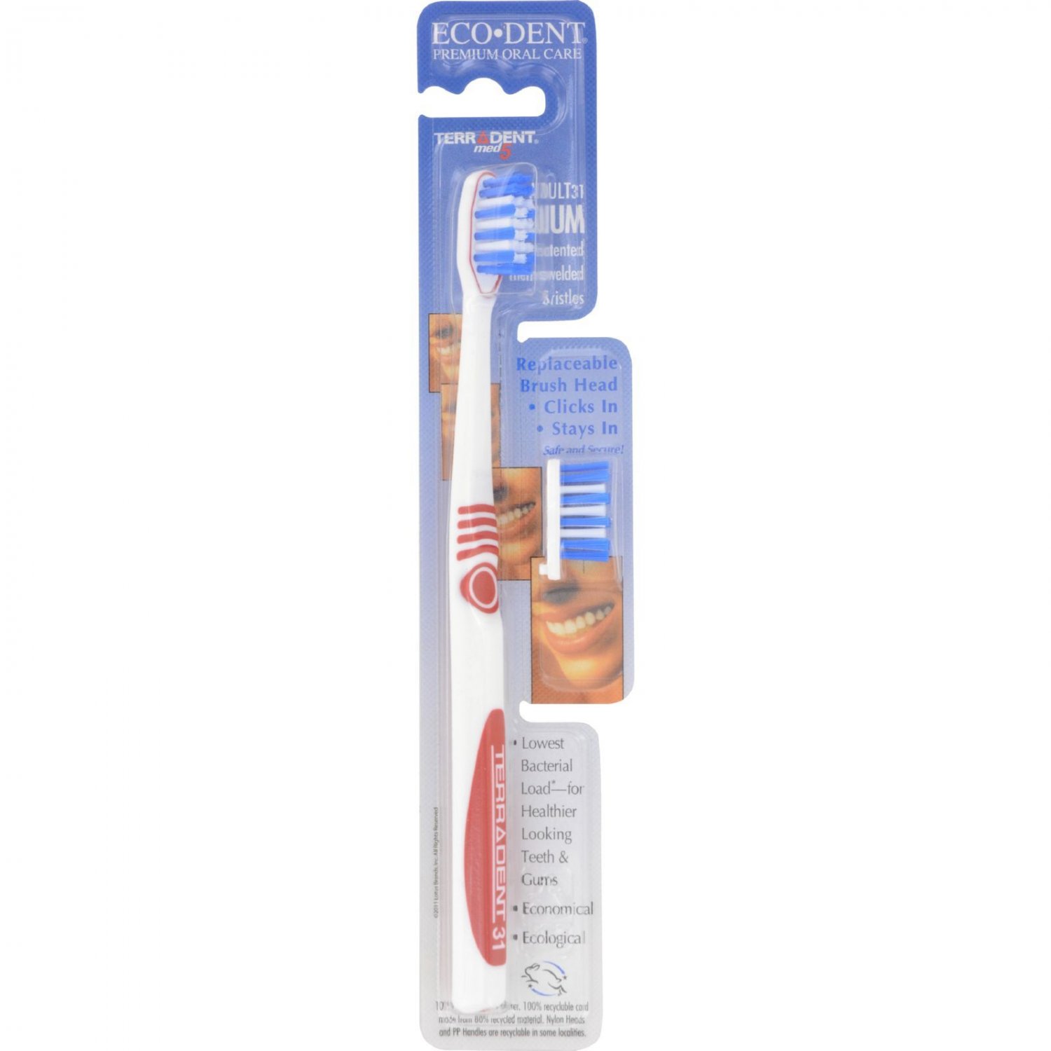 Terradent 31 Toothbrush + Refill Medium - 1 Toothbrush - Case of 6