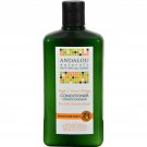 Andalou Naturals Moisture Rich Conditioner Argan and Sweet Orange - 11.5 fl oz