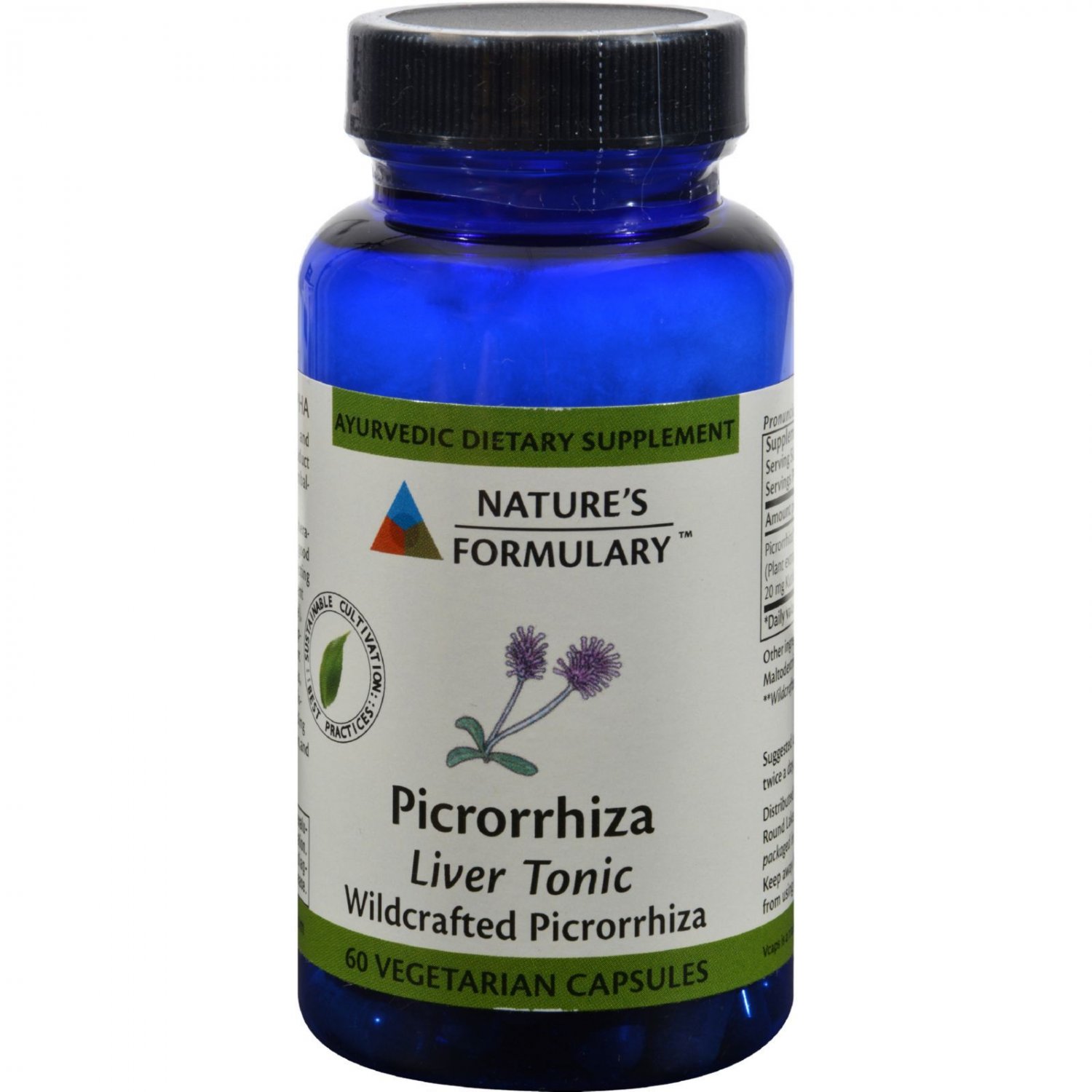 Nature's Formulary Picrorrhiza - 60 Vegetarian Capsules