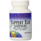 Planetary Herbals Slippery Elm Lozenges 150 mg 100 Lozenge