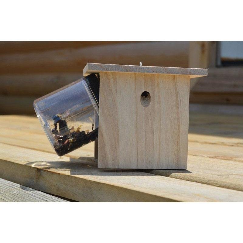 Bees N Things  Carpenter Bee Trap