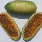 10 Banana Passion Fruit Seeds (Edible, Fast, Showy)