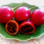 10 Seeds Tamarillo, (Tree Tomato)