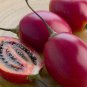 10 Seeds Tamarillo, (Tree Tomato)