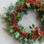 20 English Holly, Ilex aquifolium, Tree Seeds (Showy Evergreen, Hedge)