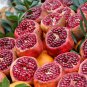 Pomegranate, Punica granatum, Tree/Shrub Seeds (Fast, Edible, Showy)