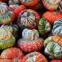 Turks Turban, (Turban Squash), Cucurbita maxima, Seeds