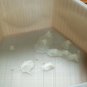 Hexagon Galapagos Bowl with Fish - Choice of Sizes - 3D Printed Plastic