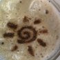 Coffee Stencils - Heart, Swirly, Apple, Sunshine, Rose, Cup of Java - 3D Printed