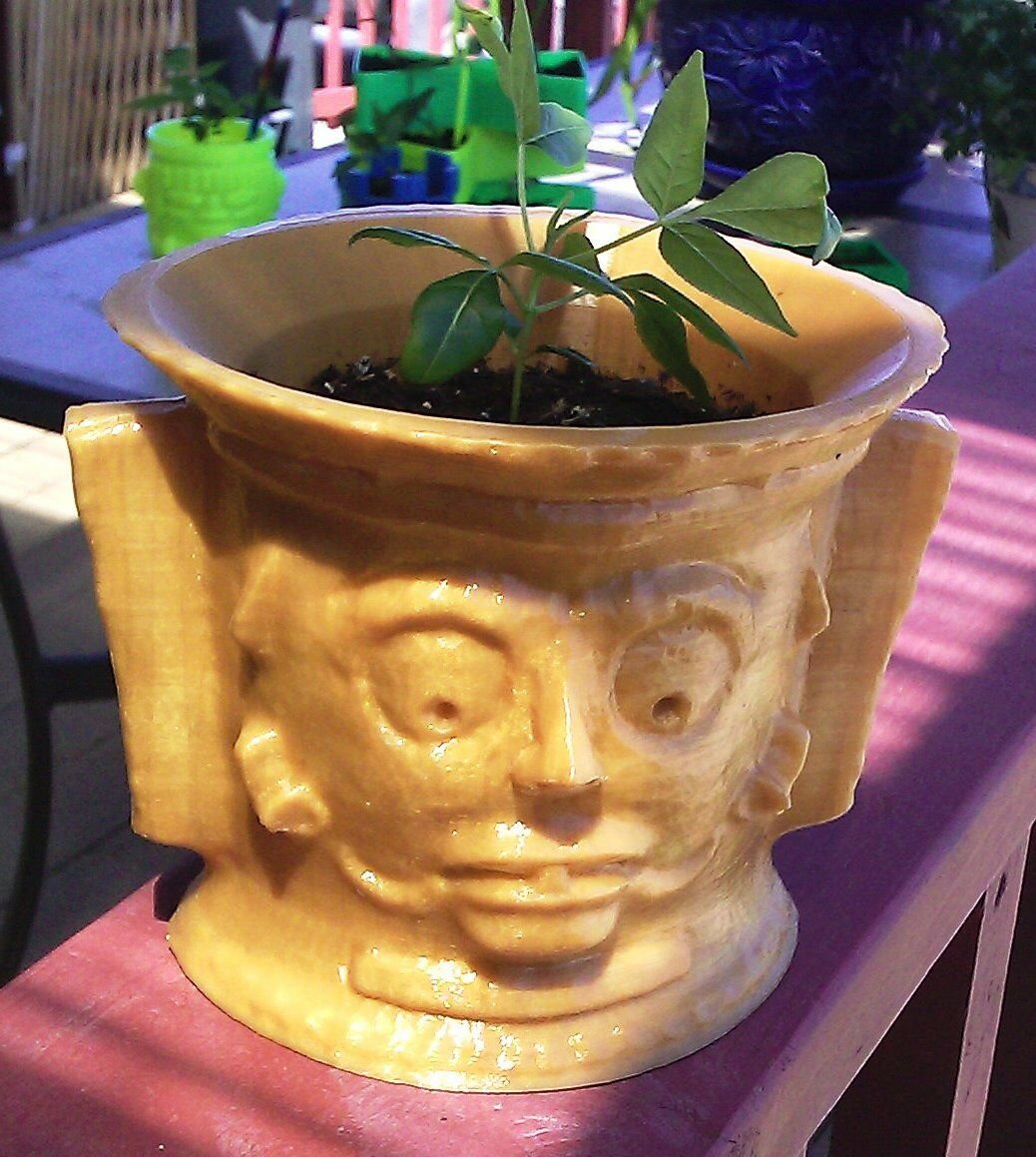 Mayan Planter or Vase - 3D Printed Plastic