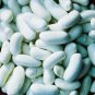Green Bean Seeds (Snap Bean) - Bush Blue Lake 274 (Stringless)