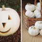 Casper White Pumpkin, Cucurbita pepo, Seeds (10-16 lbs.)