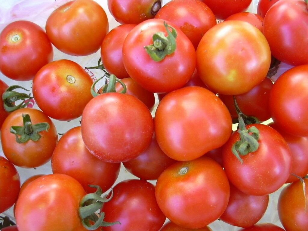 Tomato Seeds - Large Red Cherry