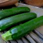 Squash - Black Beauty Zucchini, (Cucurbita pepo), Seeds