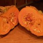 Galeux D' Eysines Squash, (Peanut Pumpkin), Cucurbita maxima, Seeds