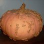 Galeux D' Eysines Squash, (Peanut Pumpkin), Cucurbita maxima, Seeds