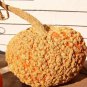 Galeux D' Eysines Squash, (Peanut Pumpkin), Cucurbita maxima, Seeds