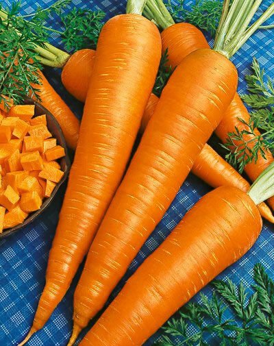 Carrot Seeds - Danvers 126