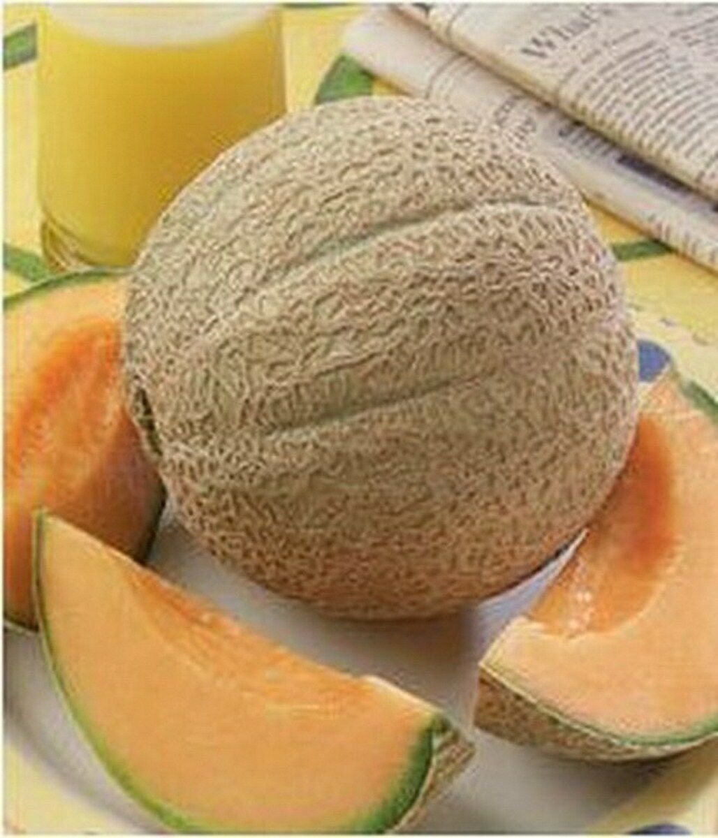 Wsini Canteloupe 25 Seeds