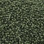 Wsini Japanese Rocailles Seed Beads Main Color Matte Dark Olive