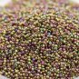 Wsini Japanese Rocailles Seed Beads Main Color Gold Lustered Dark Topaz