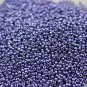 Wsini Japanese Rocailles Seed Beads Main Color PermaFinish Galvanized Polaris