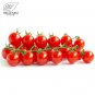SALE 'Renrong' Bright Red Cherry Tomato Bonsai 'Seeds' 20pcs+ SALE Sweet Round Tasty Small Organ