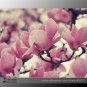 SALE SALE Pink Yulan Magnolia denudata Fragrant lilytree 10 Seeds