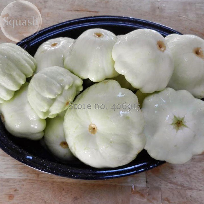 Summer Squash White Patty Pan Scallop, 5 Seeds, ornamental vegetables edible E3570