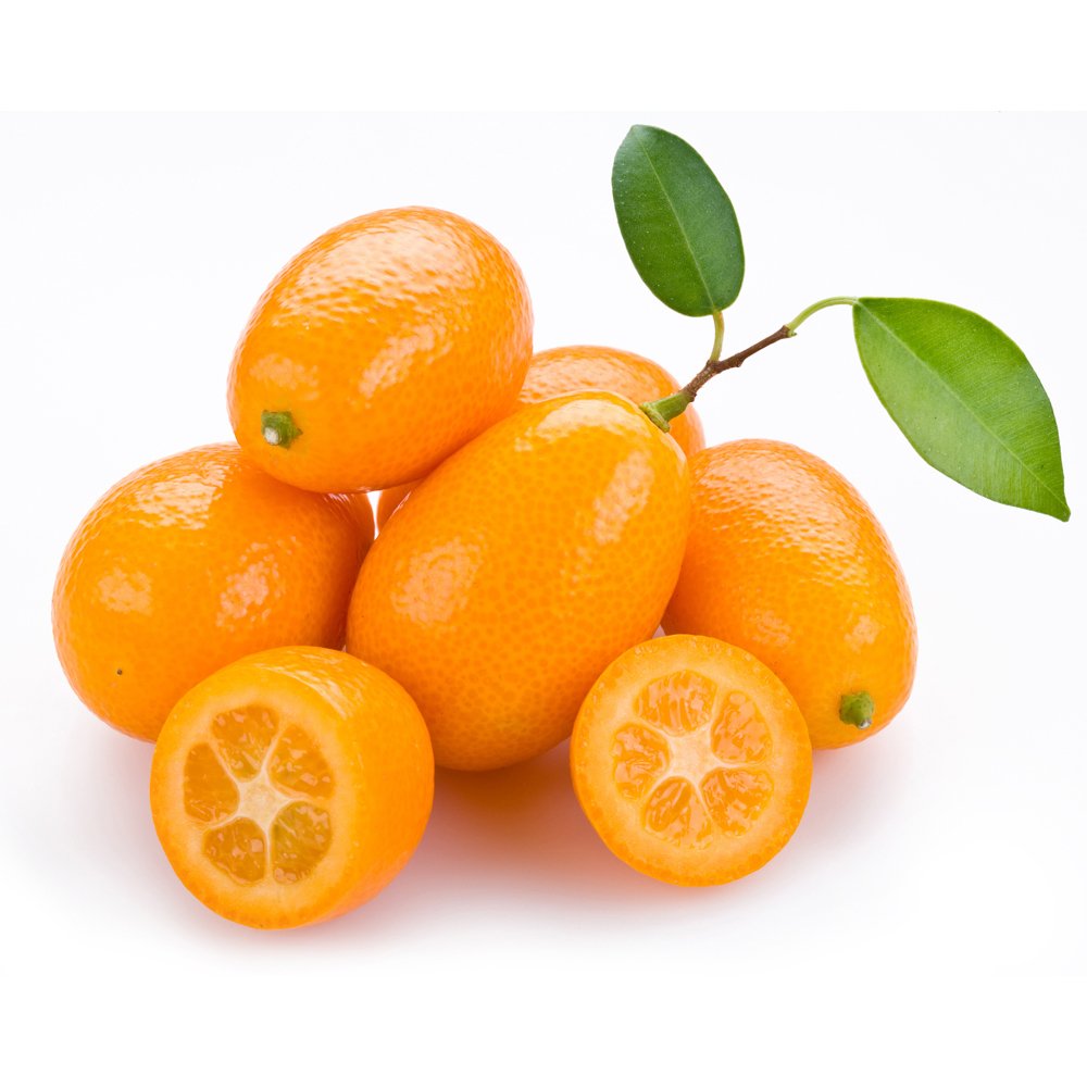 BELLFARM Kumquat