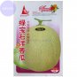 Heirloom Green White Sweet Melon with overlapping curve gray skin