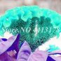 Dwarf Plumed Cockscomb