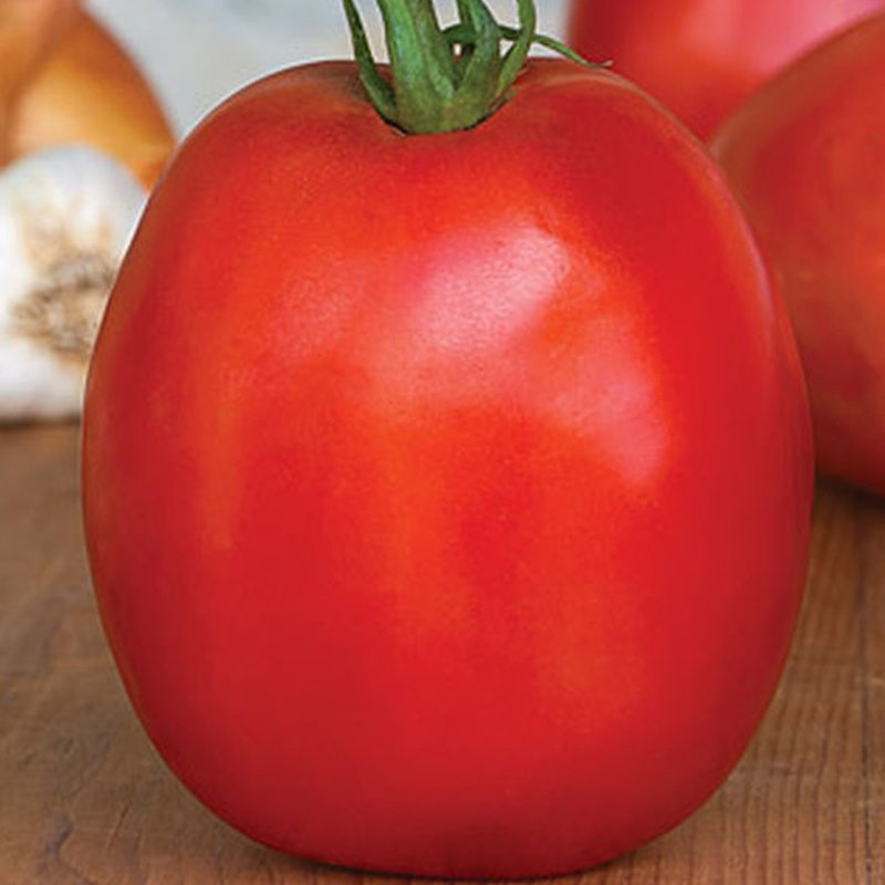 Tomato SuperSauce Hybrid