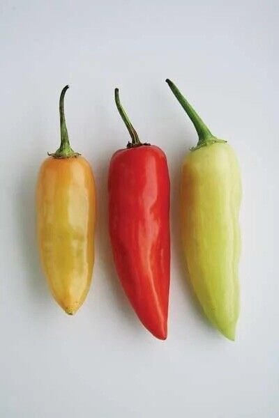 100 Santa Fe Grande Pepper Seeds