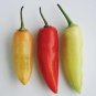 100 Santa Fe Grande Pepper Seeds