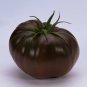 30+ Cherokee Purple Native American Heirloom Organic Tomato