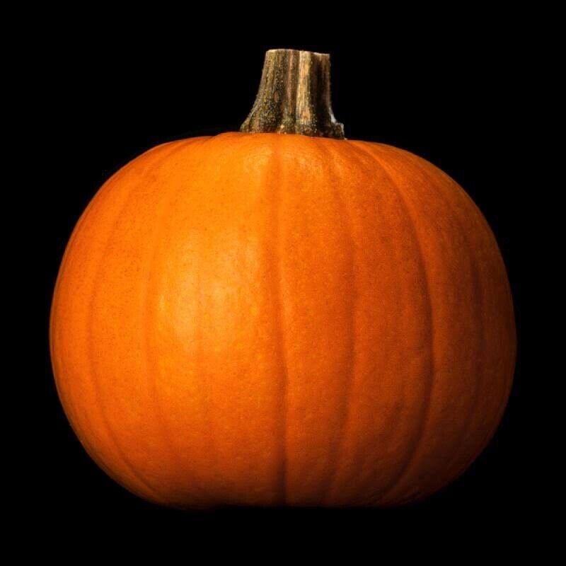 20 Spooky Pumpkin Seeds