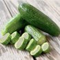 Beit Alpha Cucumber Seeds
