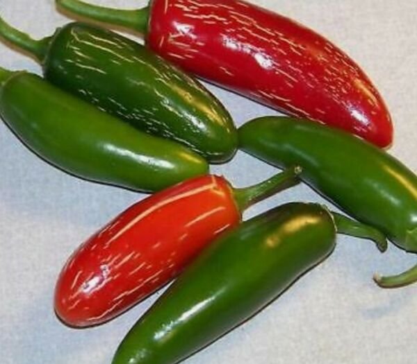 20 pepper HOT seeds