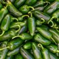 Jalapeno Pepper Seeds - Pepper Seeds - Non Gmo